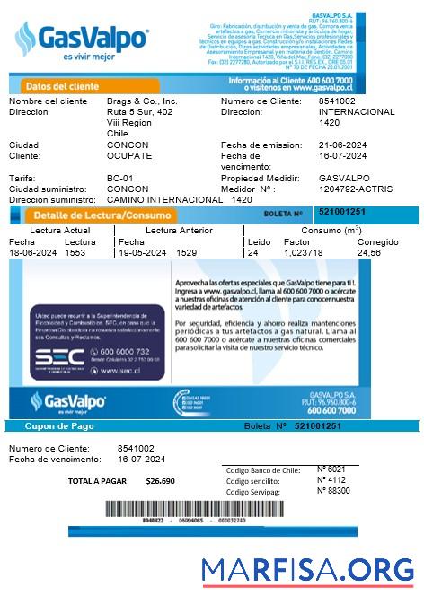 Blank Chile GasValpo business utility bill template fully editable in word and pdf formats1